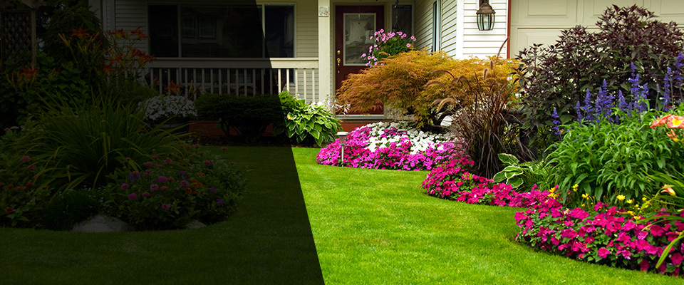 Stevenson Landscapers